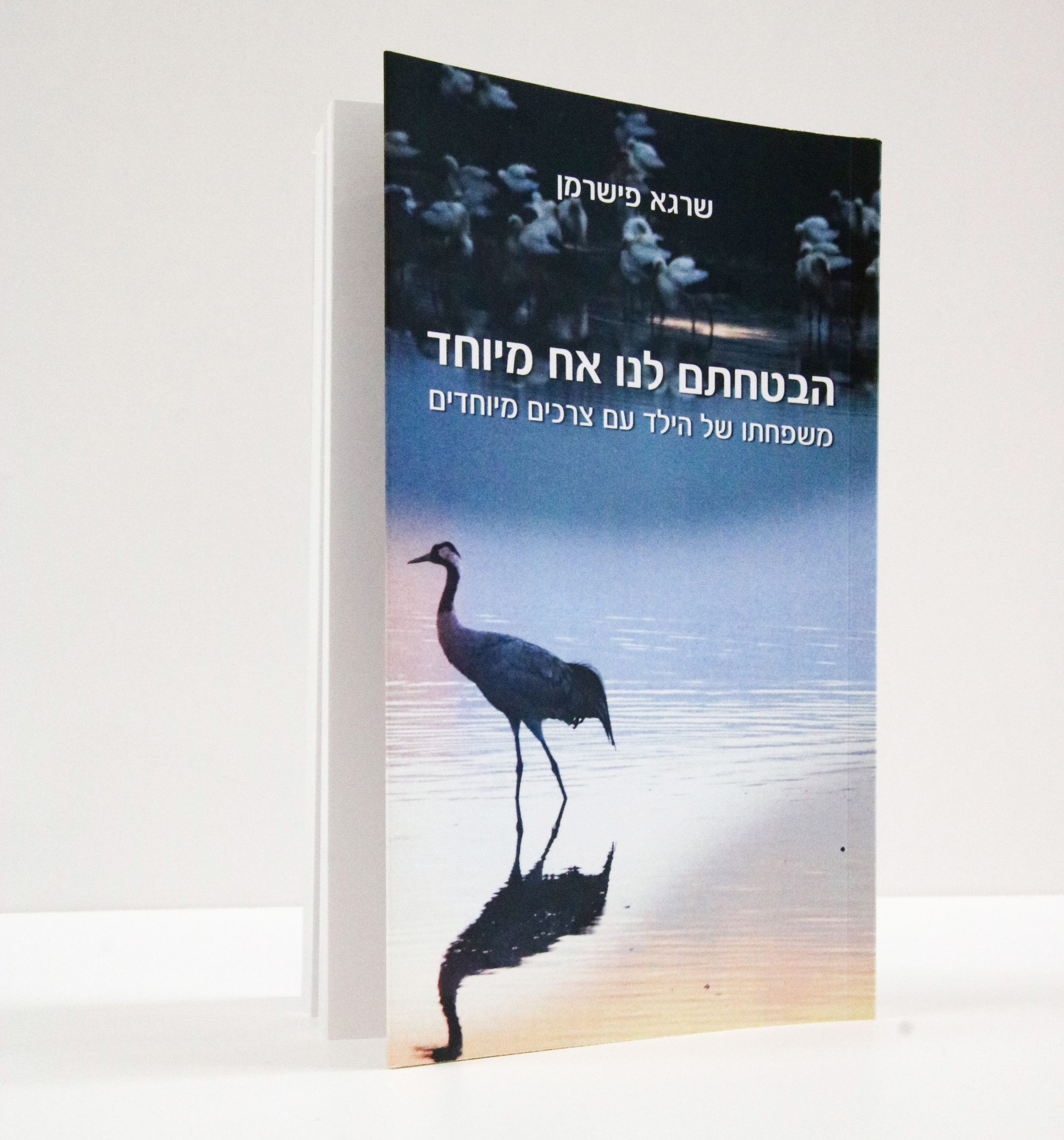 הבטחתם לנו אח מיוחד: משפחתו של הילד עם צרכים מיוחדים