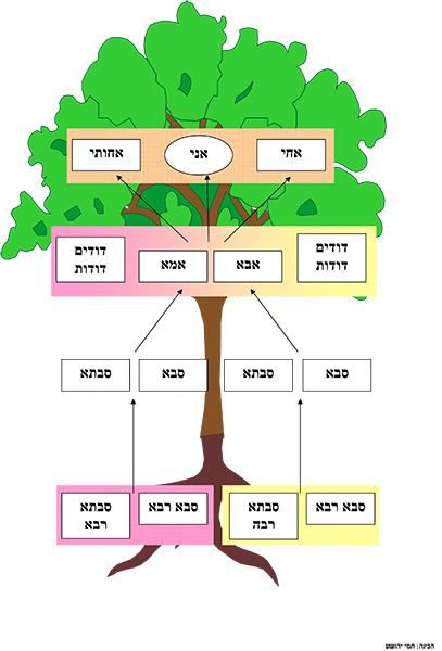 Microsoft Word עץ שורשים.doc